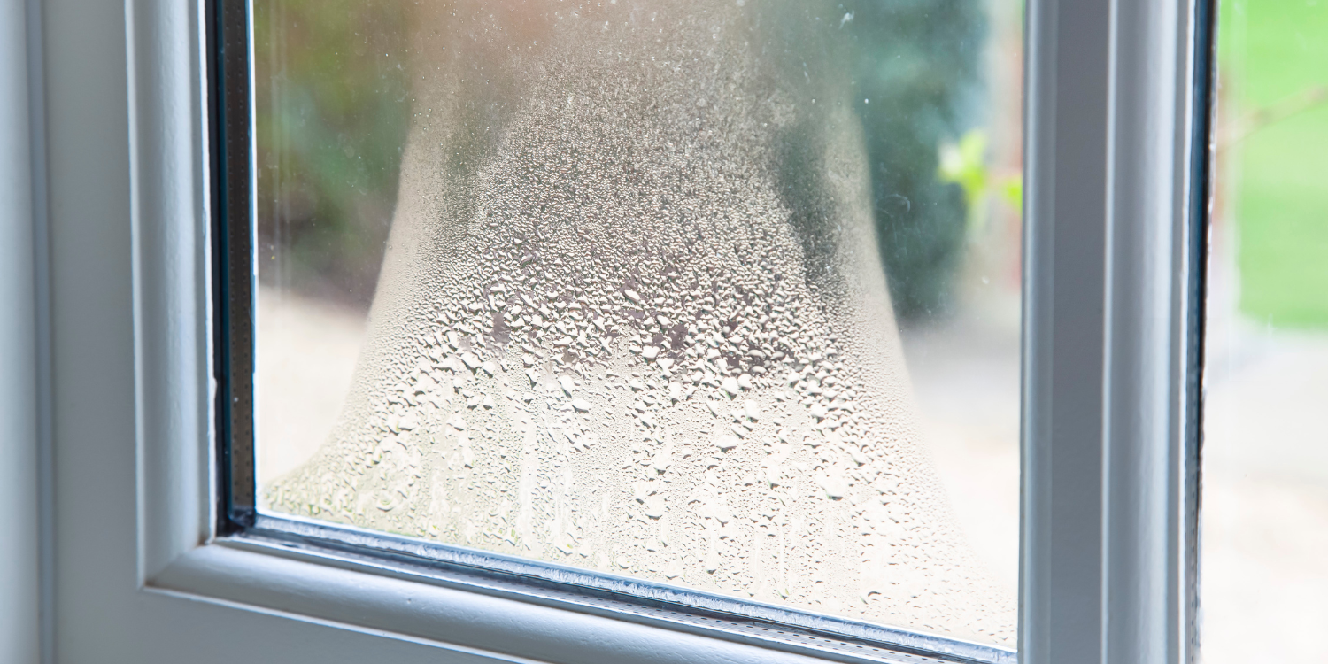 Condensation on windows - Whole House Dehumidifiers: A Complete Guide